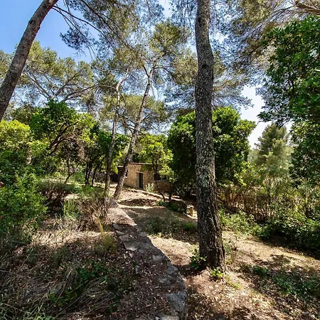 Villa D'engance Et Ses Dependances Nîmes